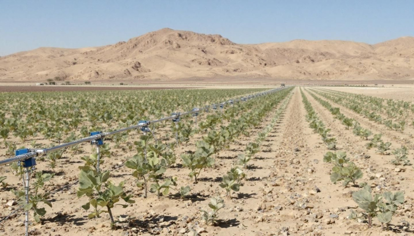 Gestion de l'eau en Israël secrets de la nation la plus efficace en matière d'irrigation